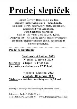  Prodej slepiček - Ostrovce, Černošín, Víchov