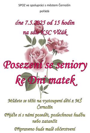 Posezení se seniory ke DNI MATEK